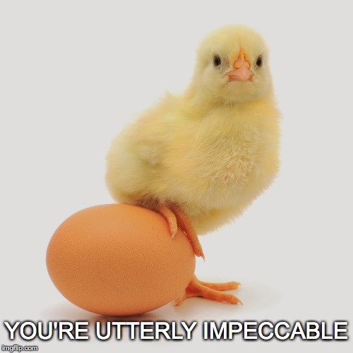 You--yes you! | YOU'RE UTTERLY IMPECCABLE | image tagged in janey mack meme,impeccable,you're utterly impeccable,chicken egg,chick,flirt | made w/ Imgflip meme maker