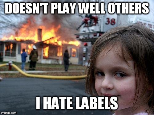Disaster Girl Meme | DOESN'T PLAY WELL OTHERS; I HATE LABELS | image tagged in memes,disaster girl | made w/ Imgflip meme maker