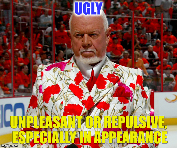 UGLY; UNPLEASANT OR REPULSIVE, ESPECIALLY IN APPEARANCE | made w/ Imgflip meme maker