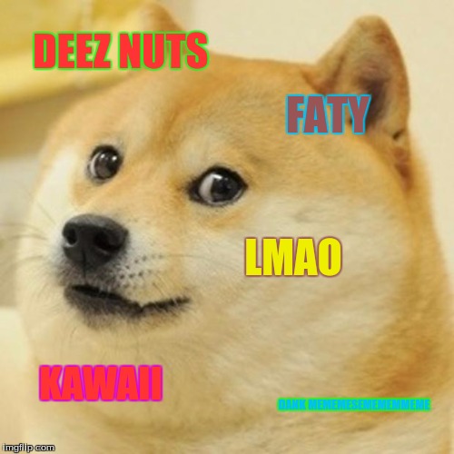 Doge Meme | DEEZ NUTS; FATY; LMAO; KAWAII; DANK MEMEMESEMEMEMMEME | image tagged in memes,doge | made w/ Imgflip meme maker