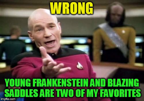 Picard Wtf Meme | WRONG YOUNG FRANKENSTEIN AND BLAZING SADDLES ARE TWO OF MY FAVORITES | image tagged in memes,picard wtf | made w/ Imgflip meme maker