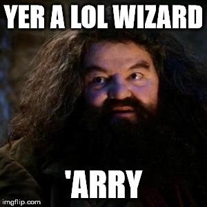 You're a wizard harry | YER A LOL WIZARD; 'ARRY | image tagged in you're a wizard harry | made w/ Imgflip meme maker