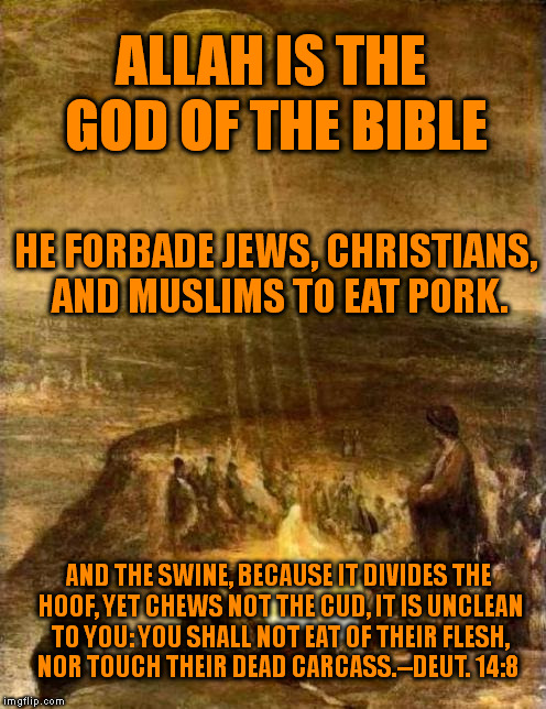 ALLAH IS THE GOD OF THE BIBLE HE FORBADE JEWS, CHRISTIANS, AND MUSLIMS TO EAT PORK. AND THE SWINE, BECAUSE IT DIVIDES THE HOOF, YET CHEWS NO | image tagged in memes,bible,allah,god,muslims,christians | made w/ Imgflip meme maker