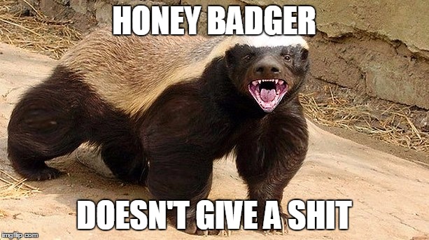 Honey Badger Doesn't Give a Shit | HONEY BADGER; DOESN'T GIVE A SHIT | image tagged in honey badger,give a shit | made w/ Imgflip meme maker