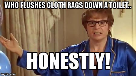 Austin Powers Honestly | WHO FLUSHES CLOTH RAGS DOWN A TOILET.. HONESTLY! | image tagged in memes,austin powers honestly | made w/ Imgflip meme maker