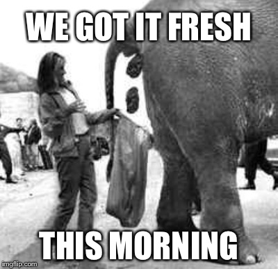 WE GOT IT FRESH THIS MORNING | made w/ Imgflip meme maker