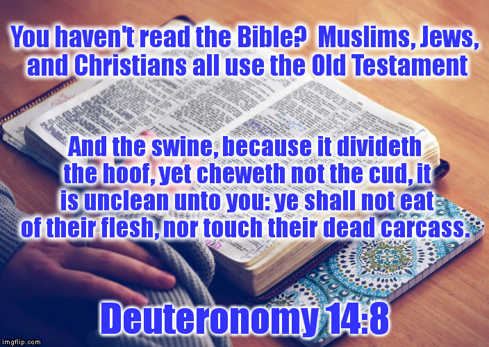 You haven't read the Bible?  Muslims, Jews, and Christians all use the Old Testament Deuteronomy 14:8 And the swine, because it divideth the | made w/ Imgflip meme maker