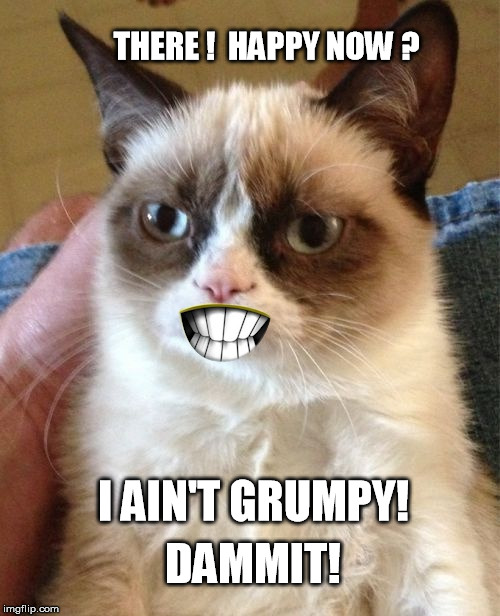 I Ain't Grumpy, Dammit! | I AIN'T GRUMPY! DAMMIT! THERE !  HAPPY NOW ? | image tagged in grumpy cat,smile | made w/ Imgflip meme maker