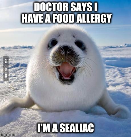 I keep harping about it I know.... | DOCTOR SAYS I HAVE A FOOD ALLERGY; I'M A SEALIAC | image tagged in seal of approval,bad pun | made w/ Imgflip meme maker