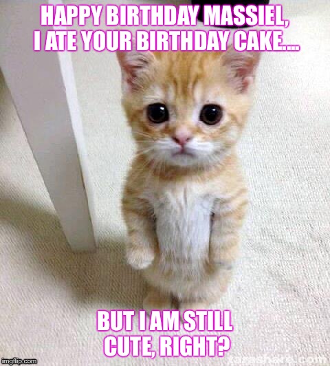 Cute Cat | HAPPY BIRTHDAY MASSIEL, I ATE YOUR BIRTHDAY CAKE.... BUT I AM STILL CUTE, RIGHT? | image tagged in memes,cute cat | made w/ Imgflip meme maker