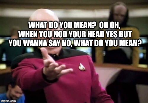 Picard Wtf Meme | WHAT DO YOU MEAN?  OH OH, WHEN YOU NOD YOUR HEAD YES BUT YOU WANNA SAY NO, WHAT DO YOU MEAN? | image tagged in memes,picard wtf | made w/ Imgflip meme maker