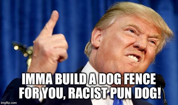 IMMA BUILD A DOG FENCE FOR YOU, RACIST PUN DOG! | made w/ Imgflip meme maker