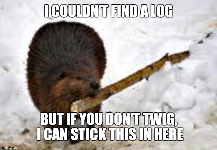 I COULDN'T FIND A LOG BUT IF YOU DON'T TWIG, I CAN STICK THIS IN HERE | made w/ Imgflip meme maker