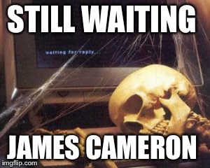 skeleton computer | STILL WAITING; JAMES CAMERON | image tagged in skeleton computer | made w/ Imgflip meme maker