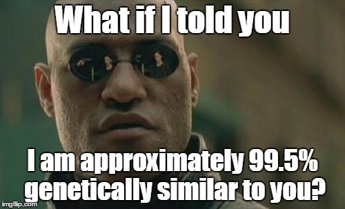 Matrix Morpheus Meme | What if I told you I am approximately 99.5% genetically similar to you? | image tagged in memes,matrix morpheus | made w/ Imgflip meme maker