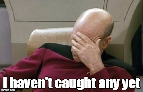 Captain Picard Facepalm Meme | I haven't caught any yet | image tagged in memes,captain picard facepalm | made w/ Imgflip meme maker