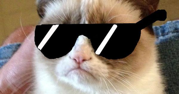 Grumy Cat Deal With It Blank Meme Template