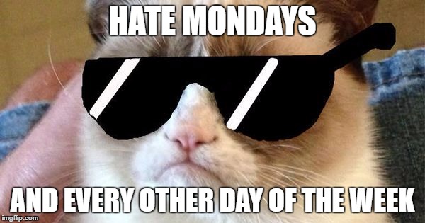 Grumy Cat Deal With It | HATE MONDAYS; AND EVERY OTHER DAY OF THE WEEK | image tagged in grumy cat deal with it | made w/ Imgflip meme maker