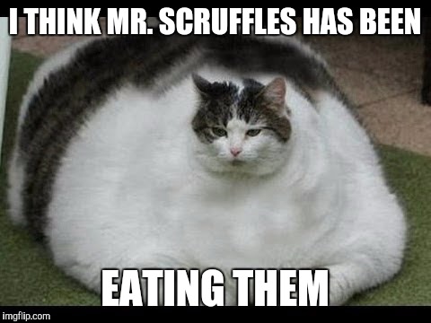 I THINK MR. SCRUFFLES HAS BEEN EATING THEM | made w/ Imgflip meme maker