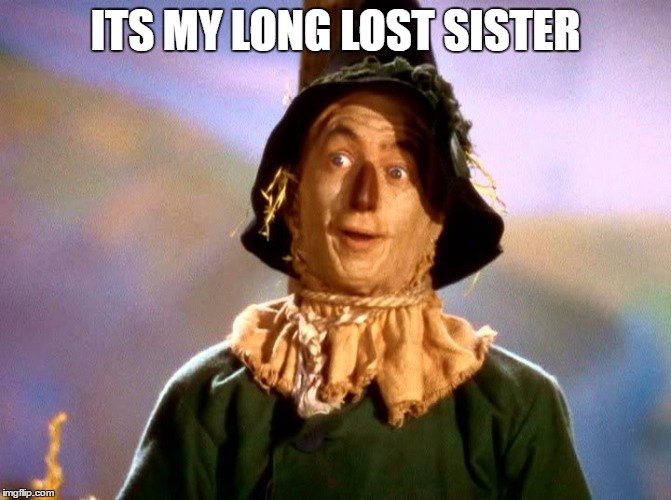 ITS MY LONG LOST SISTER | made w/ Imgflip meme maker