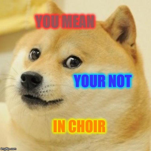 Doge | YOU MEAN; YOUR NOT; IN CHOIR | image tagged in memes,doge | made w/ Imgflip meme maker