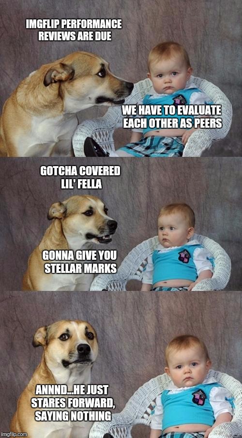 Dad Joke Dog | IMGFLIP PERFORMANCE REVIEWS ARE DUE; WE HAVE TO EVALUATE EACH OTHER AS PEERS; GOTCHA COVERED LIL' FELLA; GONNA GIVE YOU STELLAR MARKS; ANNND...HE JUST STARES FORWARD, SAYING NOTHING | image tagged in memes,dad joke dog | made w/ Imgflip meme maker