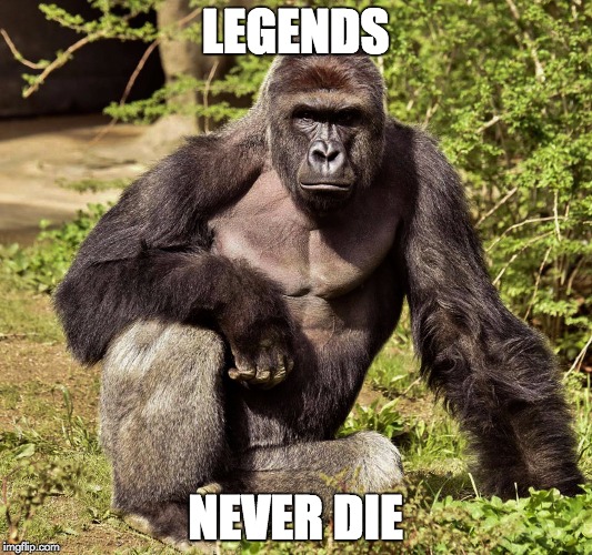 LEGENDS; NEVER DIE | image tagged in harambe | made w/ Imgflip meme maker