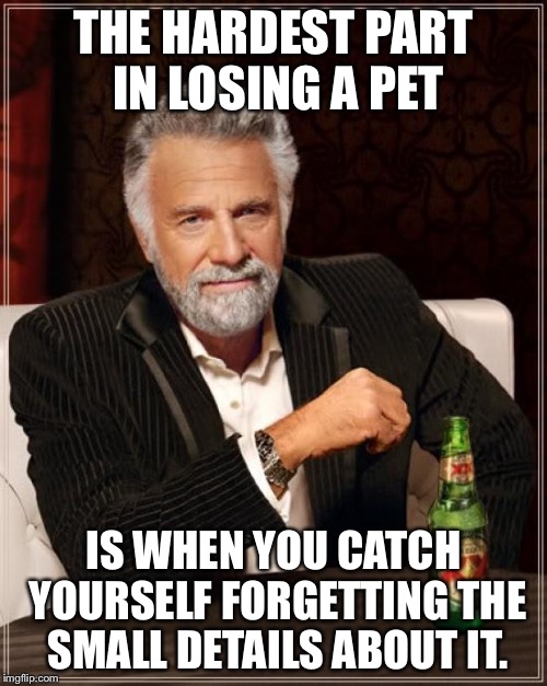 It can also apply to people... | THE HARDEST PART IN LOSING A PET; IS WHEN YOU CATCH YOURSELF FORGETTING THE SMALL DETAILS ABOUT IT. | image tagged in memes,the most interesting man in the world | made w/ Imgflip meme maker