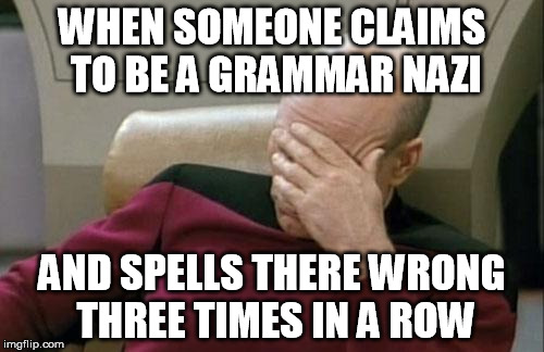 Captain Picard Facepalm | WHEN SOMEONE CLAIMS TO BE A GRAMMAR NAZI; AND SPELLS THERE WRONG THREE TIMES IN A ROW | image tagged in memes,captain picard facepalm | made w/ Imgflip meme maker