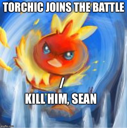 Angry Torchic | TORCHIC JOINS THE BATTLE KILL HIM, SEAN / | image tagged in angry torchic | made w/ Imgflip meme maker