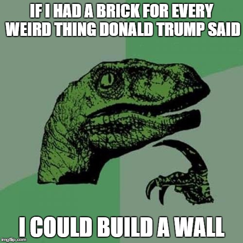 Philosoraptor Meme | IF I HAD A BRICK FOR EVERY WEIRD THING DONALD TRUMP SAID; I COULD BUILD A WALL | image tagged in memes,philosoraptor | made w/ Imgflip meme maker