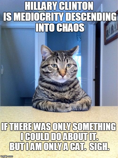 BUT I AM ONLY A CAT | HILLARY CLINTON IS MEDIOCRITY DESCENDING INTO CHAOS; IF THERE WAS ONLY SOMETHING I COULD DO ABOUT IT. BUT I AM ONLY A CAT.  SIGH. | image tagged in memes,take a seat cat,hillary clinton,election 2016 | made w/ Imgflip meme maker
