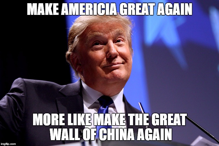Donald Trump | MAKE AMERICIA GREAT AGAIN; MORE LIKE MAKE THE GREAT WALL OF CHINA AGAIN | image tagged in donald trump | made w/ Imgflip meme maker
