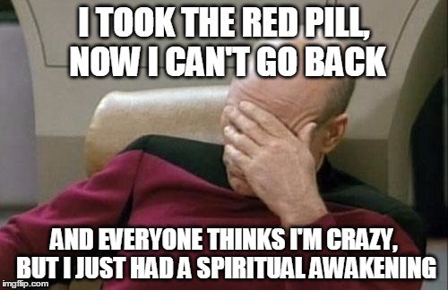 Captain Picard Facepalm | I TOOK THE RED PILL, NOW I CAN'T GO BACK; AND EVERYONE THINKS I'M CRAZY, BUT I JUST HAD A SPIRITUAL AWAKENING | image tagged in memes,captain picard facepalm | made w/ Imgflip meme maker