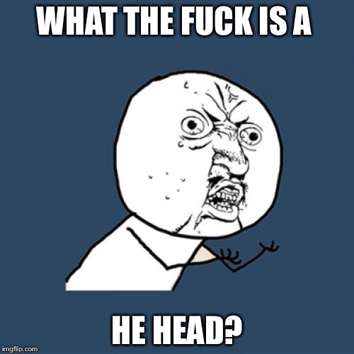 Y U No Meme | WHAT THE F**K IS A HE HEAD? | image tagged in memes,y u no | made w/ Imgflip meme maker