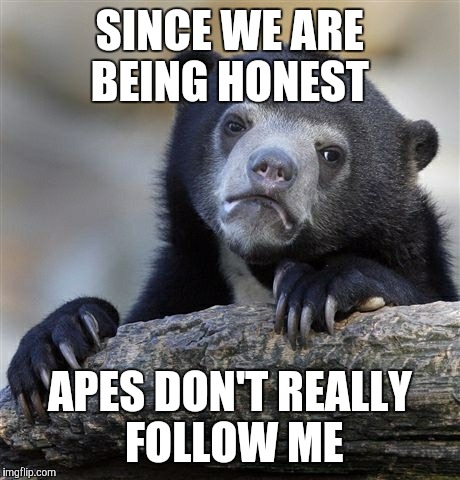 Confession Bear Meme | SINCE WE ARE BEING HONEST; APES DON'T REALLY FOLLOW ME | image tagged in memes,confession bear | made w/ Imgflip meme maker