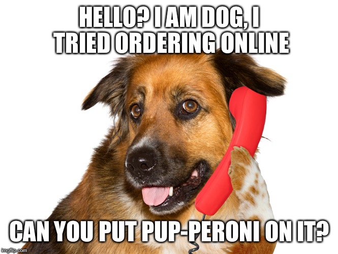Dog On The Phone | HELLO? I AM DOG, I TRIED ORDERING ONLINE CAN YOU PUT PUP-PERONI ON IT? | image tagged in dog on the phone | made w/ Imgflip meme maker