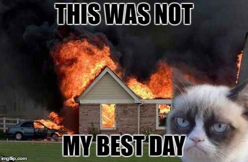 Burn Kitty | THIS WAS NOT; MY BEST DAY | image tagged in memes,burn kitty | made w/ Imgflip meme maker