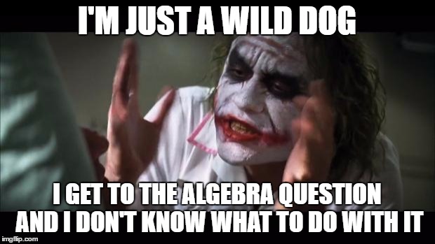 And everybody loses their minds | I'M JUST A WILD DOG; I GET TO THE ALGEBRA QUESTION AND I DON'T KNOW WHAT TO DO WITH IT | image tagged in memes,and everybody loses their minds | made w/ Imgflip meme maker