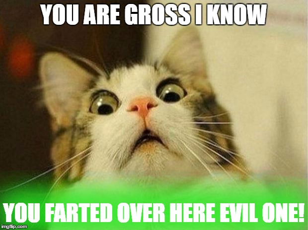 Scared Cat Meme | YOU ARE GROSS I KNOW; YOU FARTED OVER HERE EVIL ONE! | image tagged in memes,scared cat | made w/ Imgflip meme maker