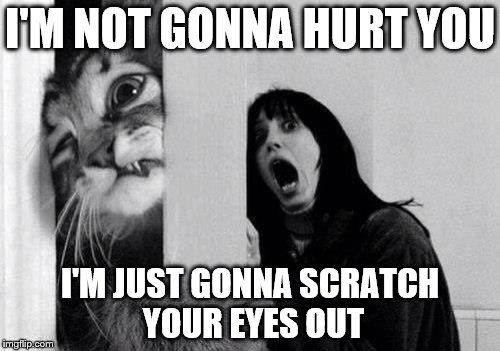 The Shining | I'M NOT GONNA HURT YOU; I'M JUST GONNA SCRATCH YOUR EYES OUT | image tagged in the shining | made w/ Imgflip meme maker