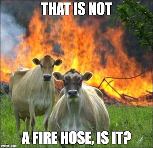 CowTasTrophe | THAT IS NOT; A FIRE HOSE, IS IT? | image tagged in memes,evil cows,stupid humans | made w/ Imgflip meme maker