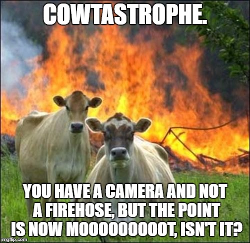 Moooooot Point | COWTASTROPHE. YOU HAVE A CAMERA AND NOT A FIREHOSE, BUT THE POINT IS NOW MOOOOOOOOOT, ISN'T IT? | image tagged in memes,evil cows | made w/ Imgflip meme maker