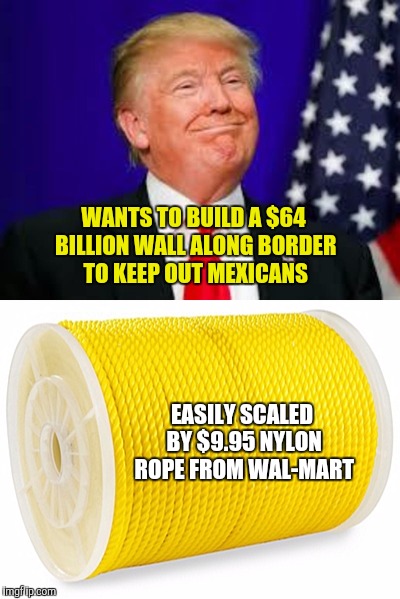 Sometimes ya just gotta think these things through. | WANTS TO BUILD A $64 BILLION WALL ALONG BORDER TO KEEP OUT MEXICANS; EASILY SCALED BY $9.95 NYLON ROPE FROM WAL-MART | image tagged in trump,wall,mexico | made w/ Imgflip meme maker