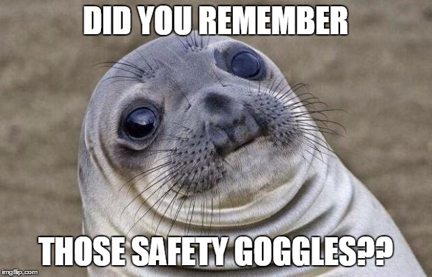 Awkward Moment Sealion | DID YOU REMEMBER; THOSE SAFETY GOGGLES?? | image tagged in memes,awkward moment sealion | made w/ Imgflip meme maker