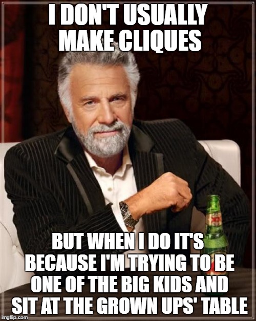 The Most Interesting Man In The World | I DON'T USUALLY MAKE CLIQUES; BUT WHEN I DO IT'S BECAUSE I'M TRYING TO BE ONE OF THE BIG KIDS AND SIT AT THE GROWN UPS' TABLE | image tagged in memes,the most interesting man in the world | made w/ Imgflip meme maker