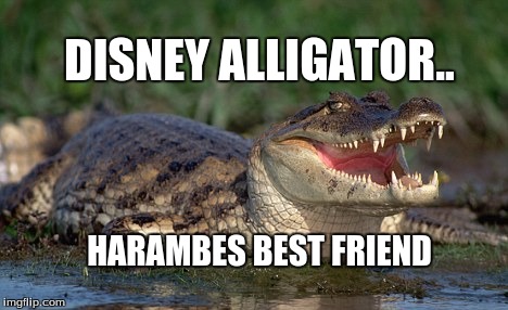 Alligator | DISNEY ALLIGATOR.. HARAMBES BEST FRIEND | image tagged in alligator | made w/ Imgflip meme maker