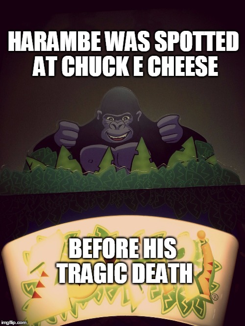 Poor Harambe | HARAMBE WAS SPOTTED AT CHUCK E CHEESE; BEFORE HIS TRAGIC DEATH | image tagged in harambe,chuck e cheese,rip harambe,funny,death | made w/ Imgflip meme maker