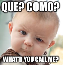 Skeptical Baby Meme | QUE? COMO? WHAT'D YOU CALL ME? | image tagged in memes,skeptical baby | made w/ Imgflip meme maker