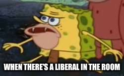 Spongegar Meme | WHEN THERE'S A LIBERAL IN THE ROOM | image tagged in memes,spongegar | made w/ Imgflip meme maker
